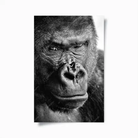 Poster portrait intense de gorille en noir et blanc – Wallnifity®