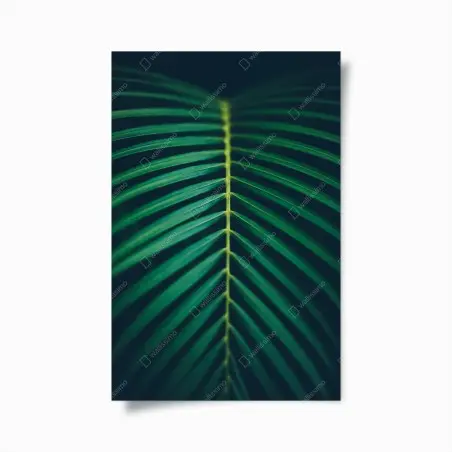 Poster feuille de palmier en composition verticale – Wallnifity®