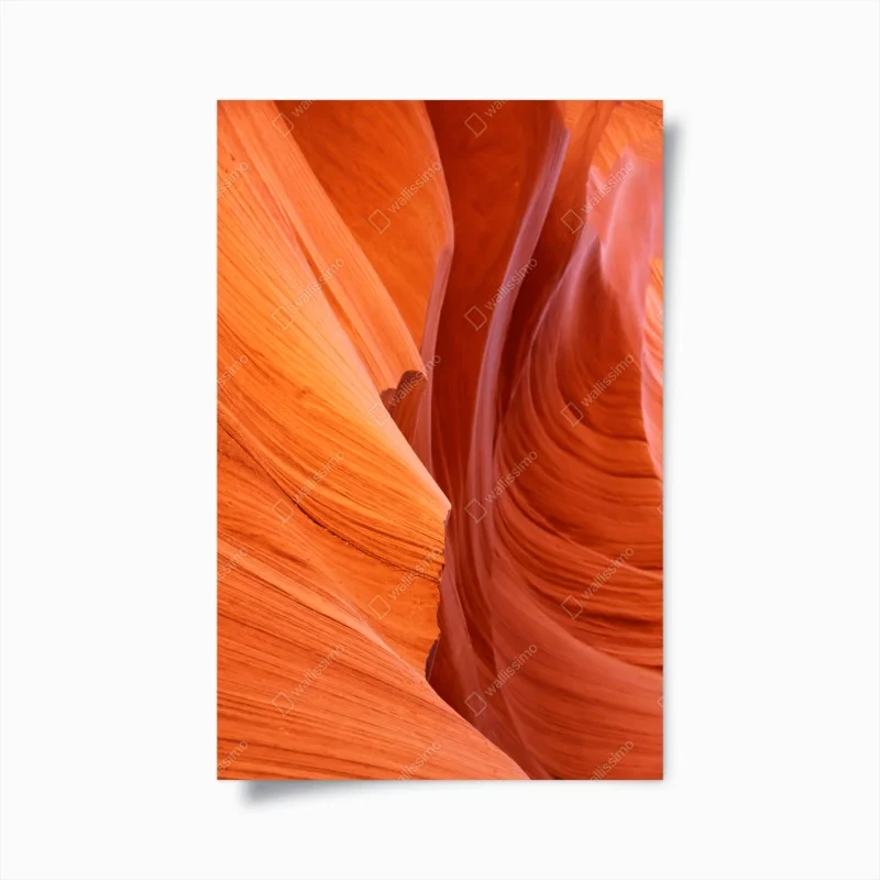 Posters – Wallnifity®