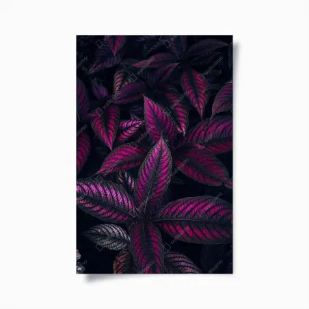 Poster feuillage fuchsia nocturne – Wallnifity®