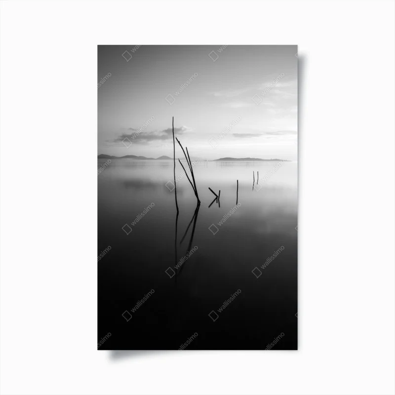 Posters – Wallnifity®