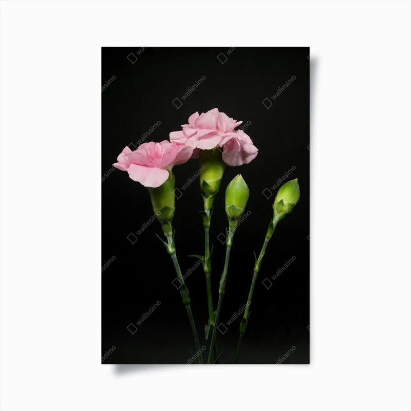 Chambre – Wallnifity®