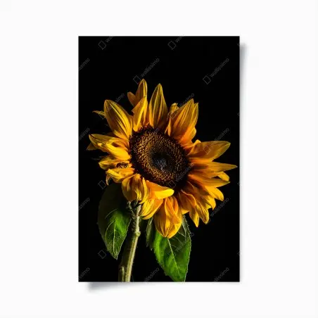Poster tournesol lumineux sur fond noir – Wallnifity®