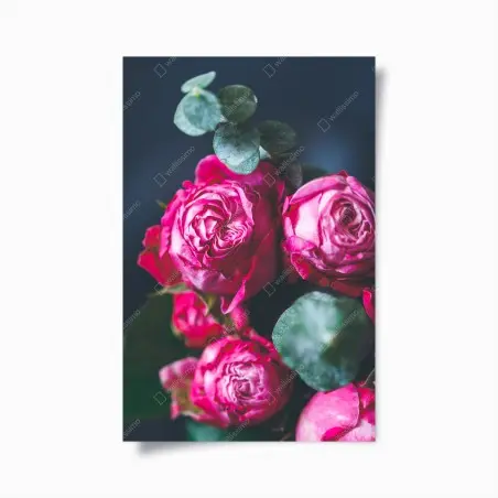 Poster roses fuchsia en gros plan sur fond bleu – Wallnifity®