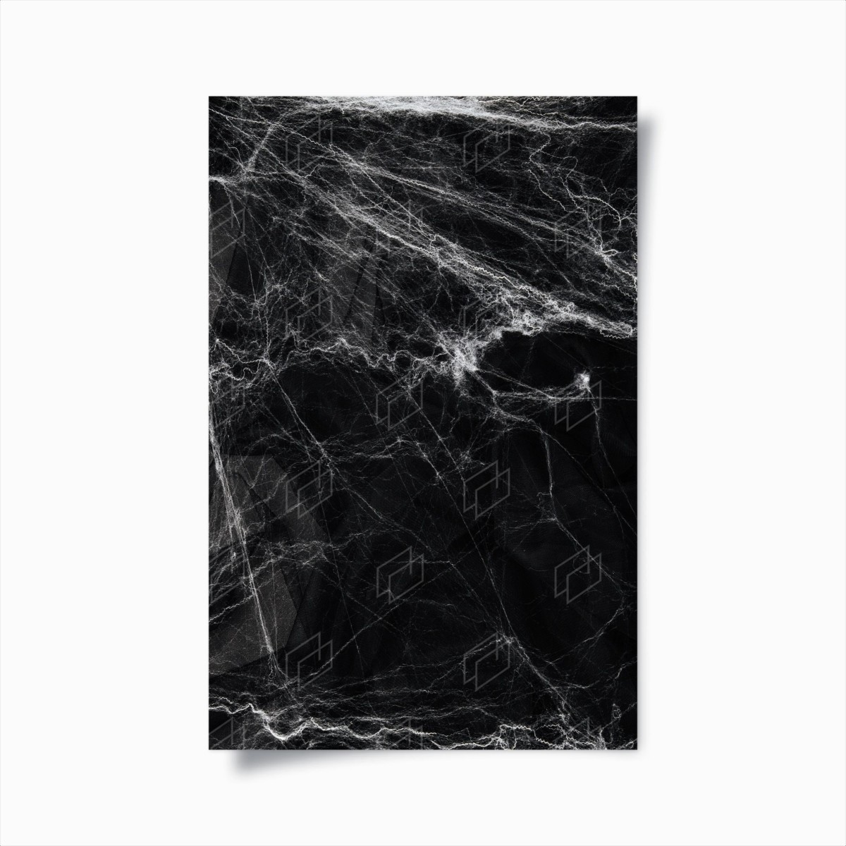 Poster toile d'araignée spectrale sur fond noir – Wallnifity®