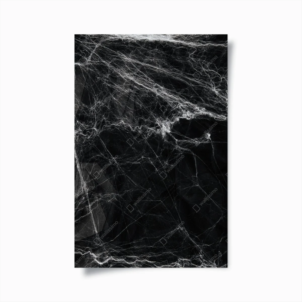 Poster toile d'araignée spectrale sur fond noir – Wallnifity® Poster toile d'araignée spectrale sur fond noir – Wallnifity®