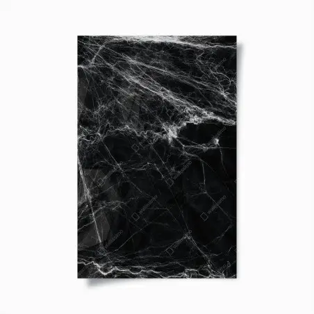 Poster toile d'araignée spectrale sur fond noir – Wallnifity®