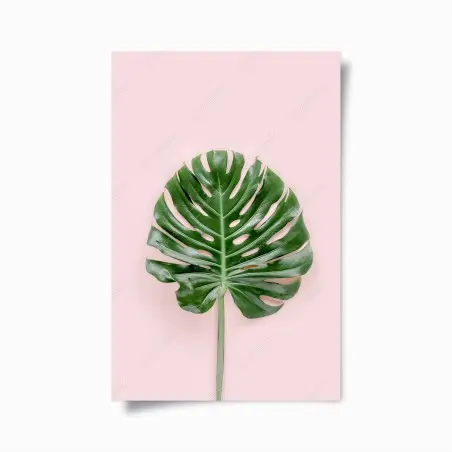 Poster feuille de monstera sur fond rose – Wallnifity®