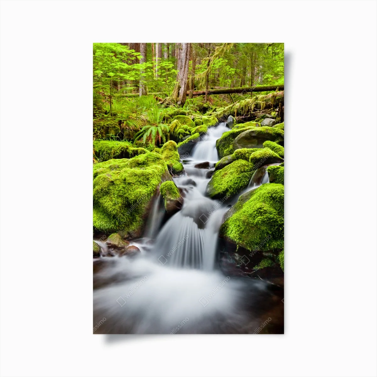 Poster cascade sereine de Sol Duc dans la forêt d'Olympic – Wallnifity® Poster cascade sereine de Sol Duc dans la forêt d'Olympic – Wallnifity®
