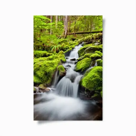 Poster cascade sereine de Sol Duc dans la forêt d'Olympic – Wallnifity®