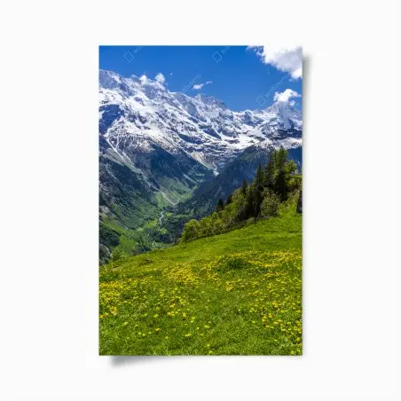 Poster panorama alpin fleuri au printemps – Wallnifity®