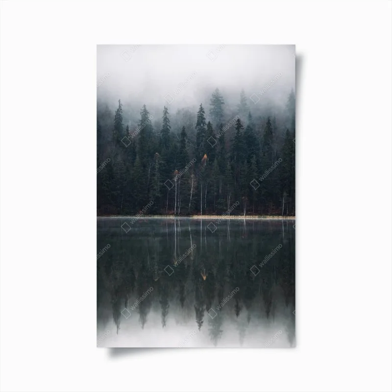 Scandinave – Wallnifity®