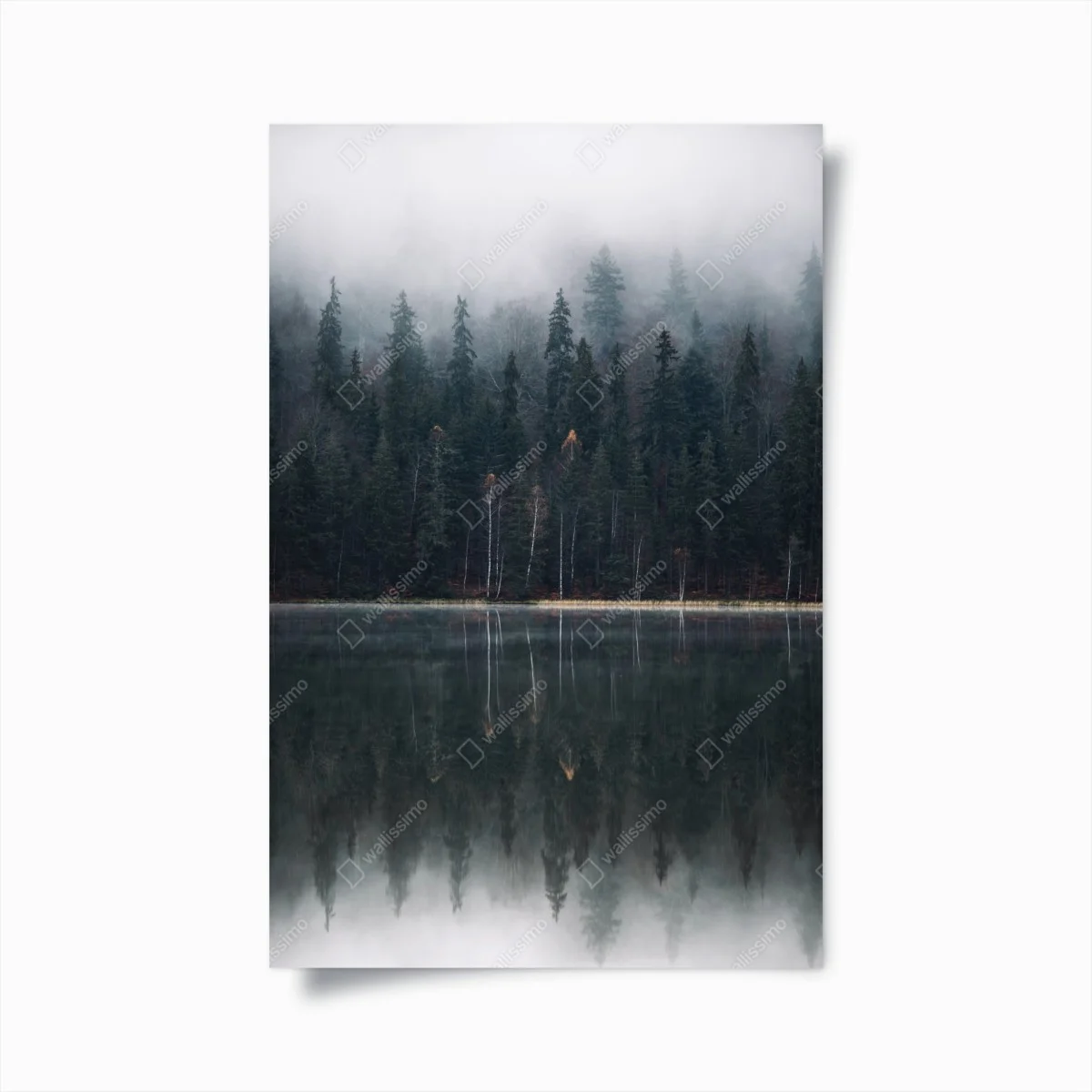 Poster forêt brumeuse au bord du lac, reflet apaisant – Wallnifity® Poster forêt brumeuse au bord du lac, reflet apaisant – Wallnifity®