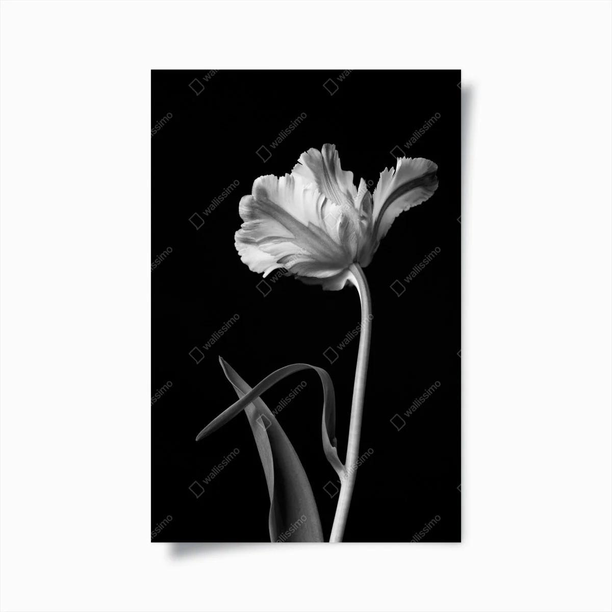 Poster élégance florale en noir et blanc – Wallnifity® Poster élégance florale en noir et blanc – Wallnifity®