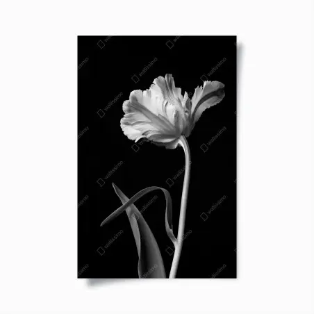 Poster élégance florale en noir et blanc – Wallnifity®