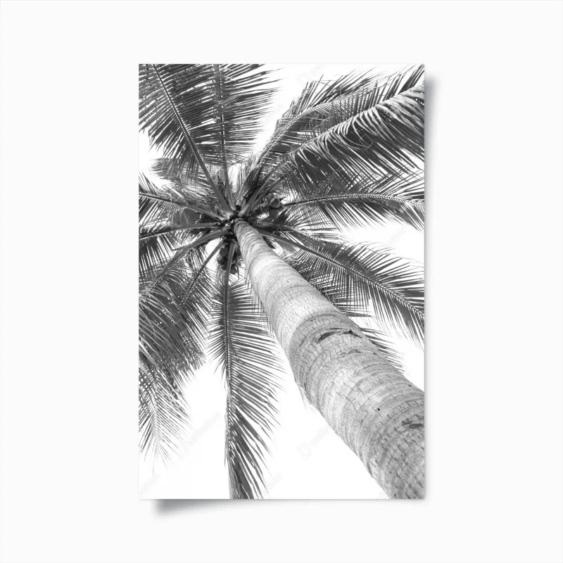 Arbres – Wallnifity®