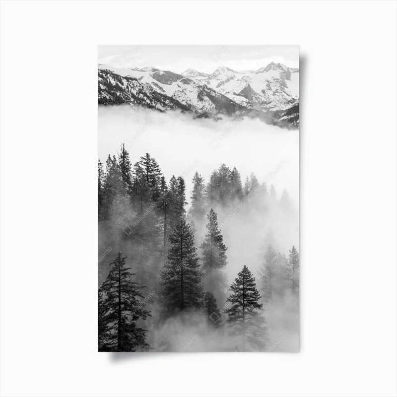 Poster brume sur Giant Forest, Sierra Nevada – Wallnifity® Poster brume sur Giant Forest, Sierra Nevada – Wallnifity®