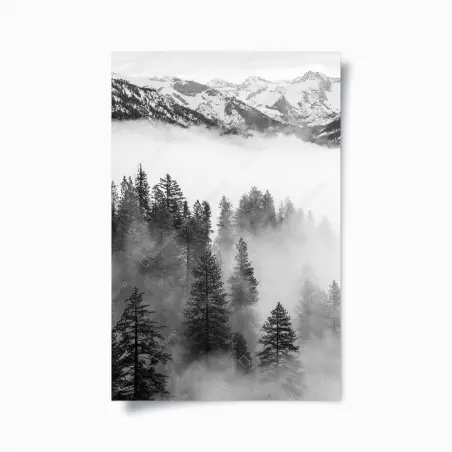 Poster brume sur Giant Forest, Sierra Nevada – Wallnifity®