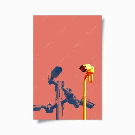 Poster caméras en contraste art urbain minimaliste – Wallnifity®