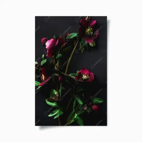 Poster couronne florale bordeaux sur fond noir – Wallnifity®
