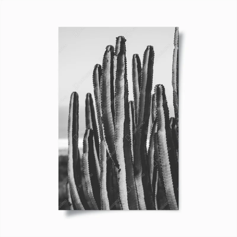 Feuilles – Wallnifity®
