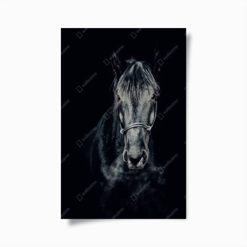 Animaux – Wallnifity®