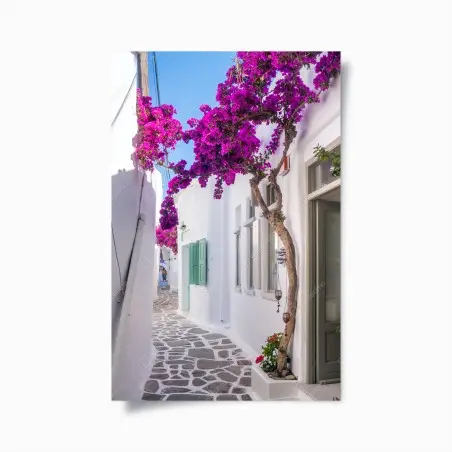 Poster ruelle blanche ensoleillée au bougainvillier – Wallnifity®