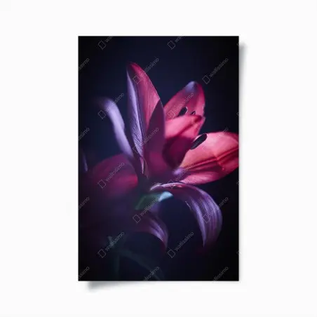 Poster élégance nocturne d'un lys rouge – Wallnifity®