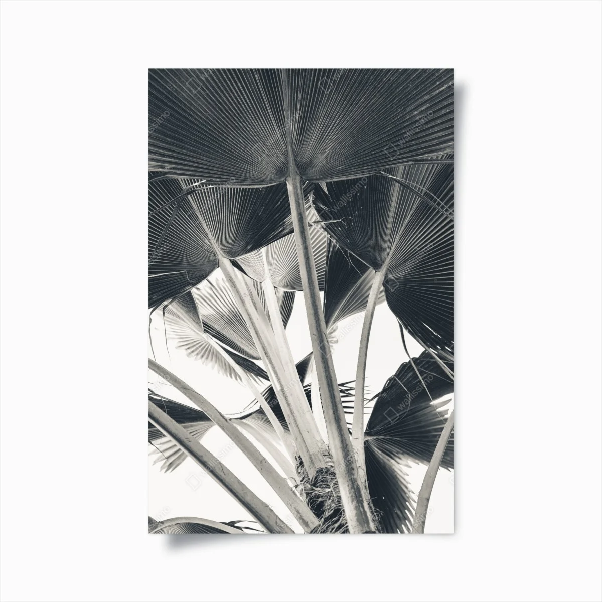 Poster feuilles tropicales en perspective – Wallnifity® Poster feuilles tropicales en perspective – Wallnifity®
