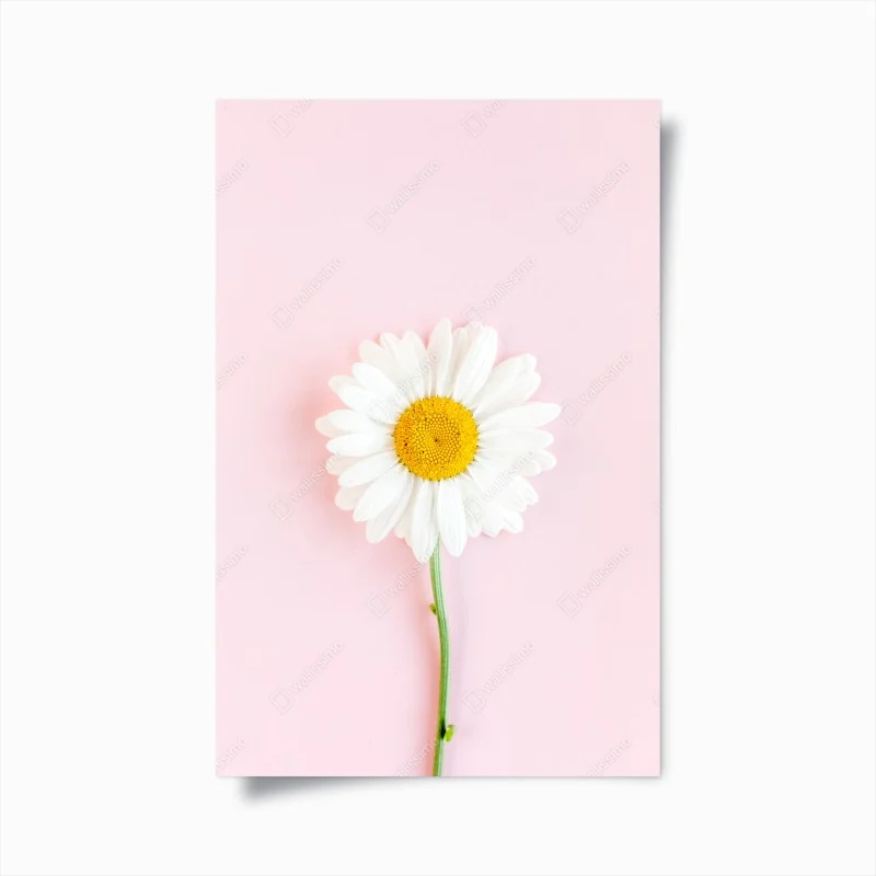 Nature – Wallnifity®