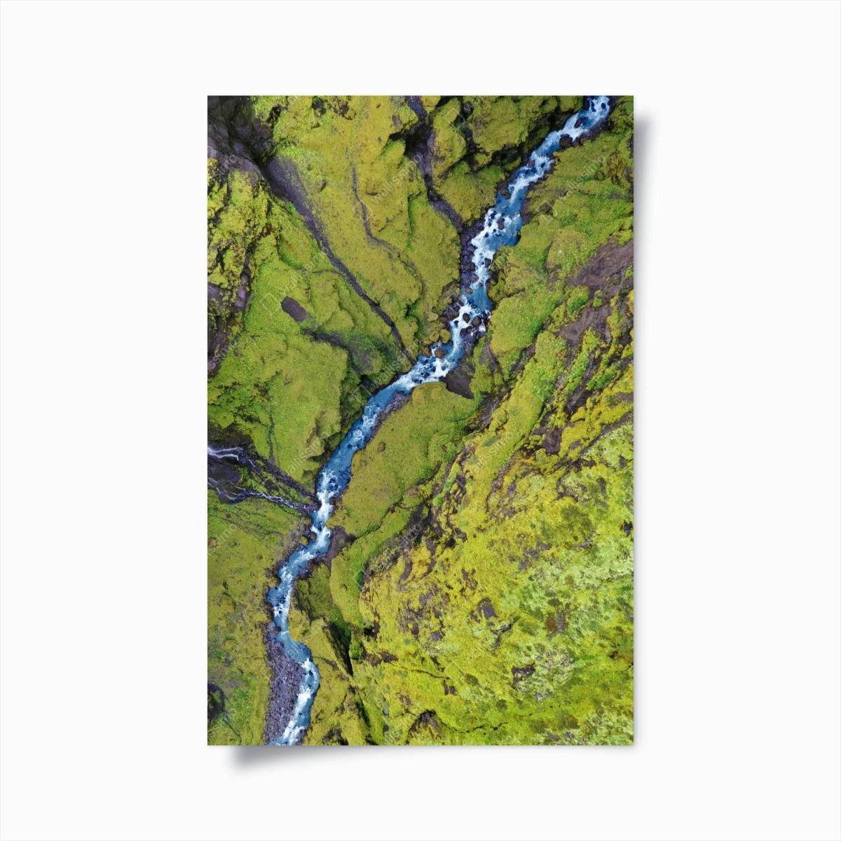 Poster rivière sinueuse au cœur d'un tapis de mousse – Wallnifity® Poster rivière sinueuse au cœur d'un tapis de mousse – Wallnifity®