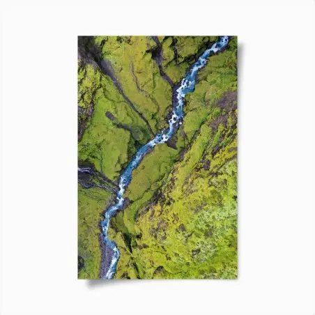 Poster rivière sinueuse au cœur d'un tapis de mousse – Wallnifity®