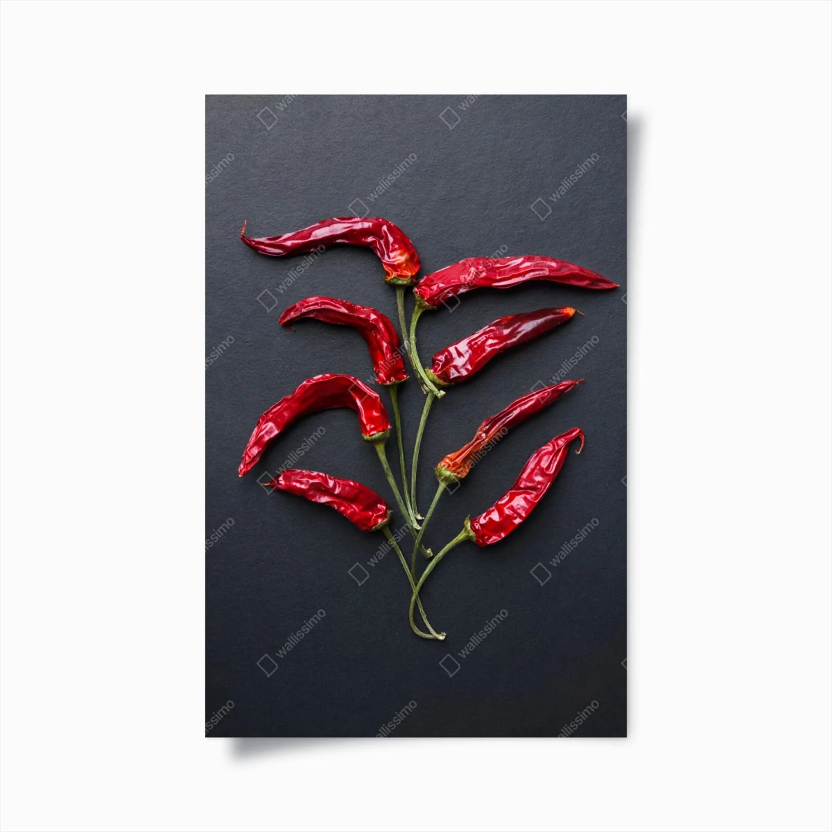 Poster arbre de piments rouges séchés sur fond noir – Wallnifity® Poster arbre de piments rouges séchés sur fond noir – Wallnifity®