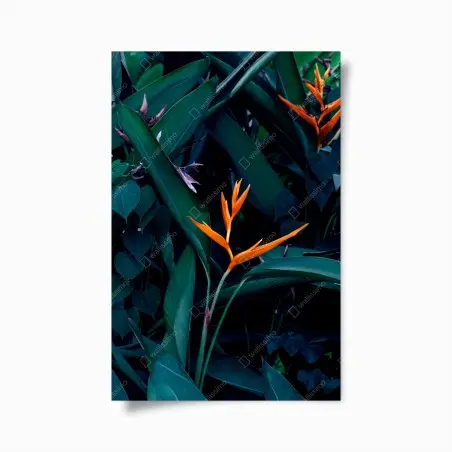 Poster fleur tropicale orange sur feuillage luxuriant – Wallnifity®