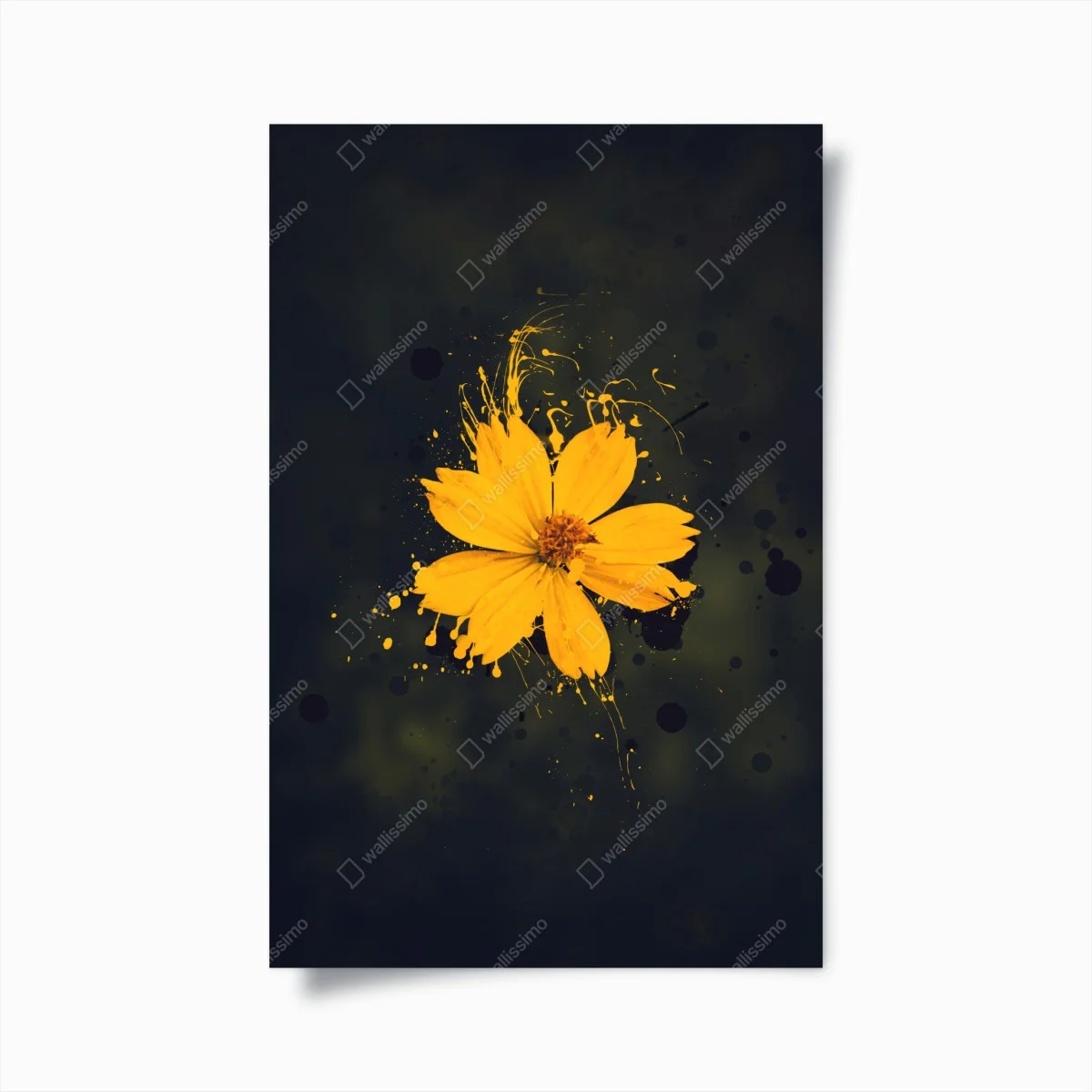 Poster fleur jaune en éclaboussures sur fond sombre – Wallnifity® Poster fleur jaune en éclaboussures sur fond sombre – Wallnifity®