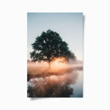 Poster chêne solitaire au lever du soleil – Wallnifity®