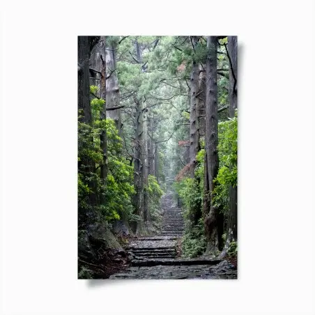 Poster allée de cèdres et sentier pierreux – Wallnifity®