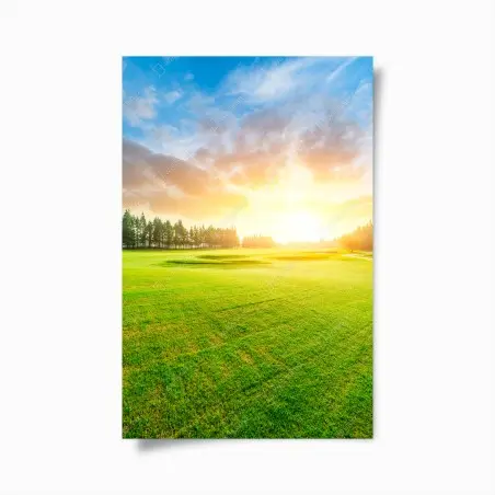 Poster coucher de soleil doré sur le gazon et la forêt – Wallnifity®