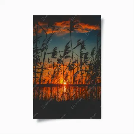 Poster silhouettes de roseaux au coucher de soleil – Wallnifity®