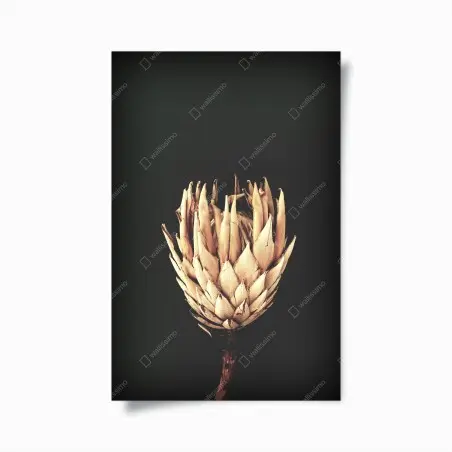 Poster fleur séchée minimaliste sur fond sombre – Wallnifity®