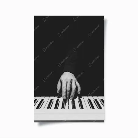 Poster mains au piano en noir et blanc – Wallnifity®