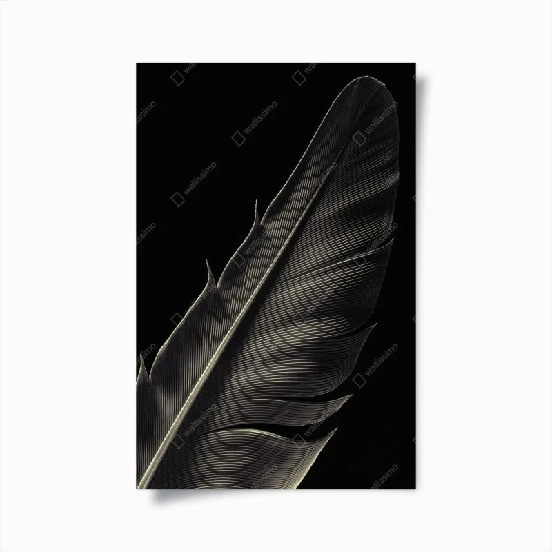 Animaux – Wallnifity®
