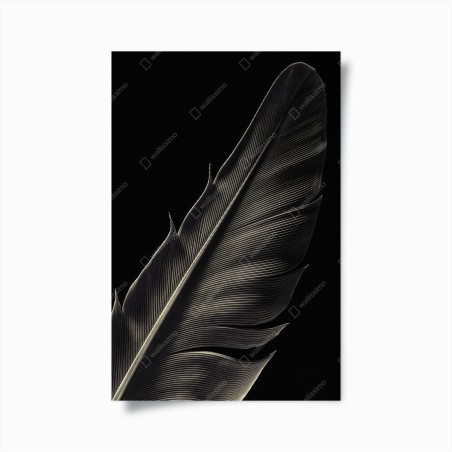 Poster plume délicate en noir et blanc – Wallnifity®