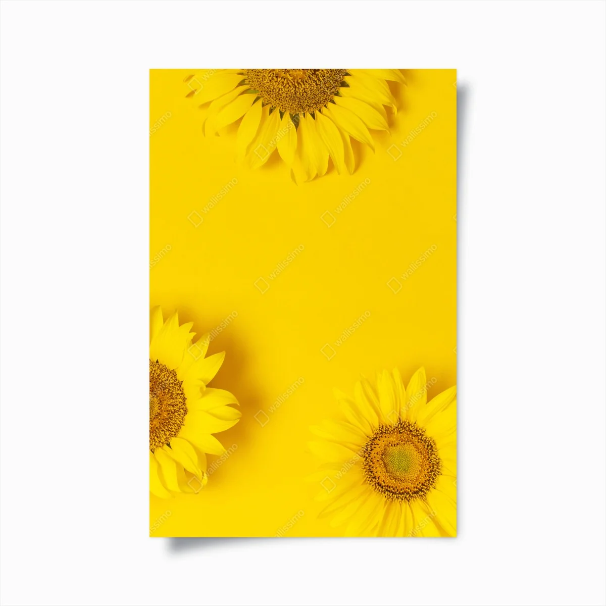 Poster éclat de tournesols sur fond jaune – Wallnifity® Poster éclat de tournesols sur fond jaune – Wallnifity®