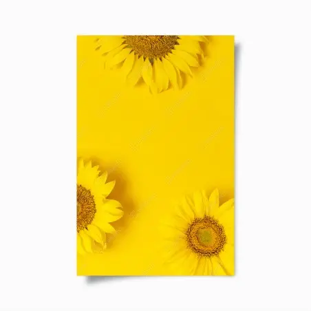 Poster éclat de tournesols sur fond jaune – Wallnifity®