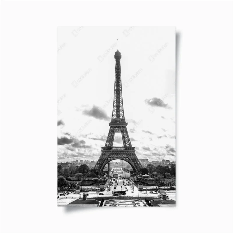 Posters – Wallnifity®