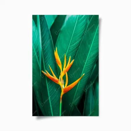 Poster fleur tropicale orange sur feuillage vert – Wallnifity®