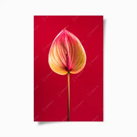 Poster anthurium en gros plan sur fond rouge – Wallnifity®