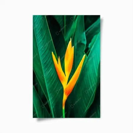 Poster fleur tropicale orange sur feuillage vert – Wallnifity®