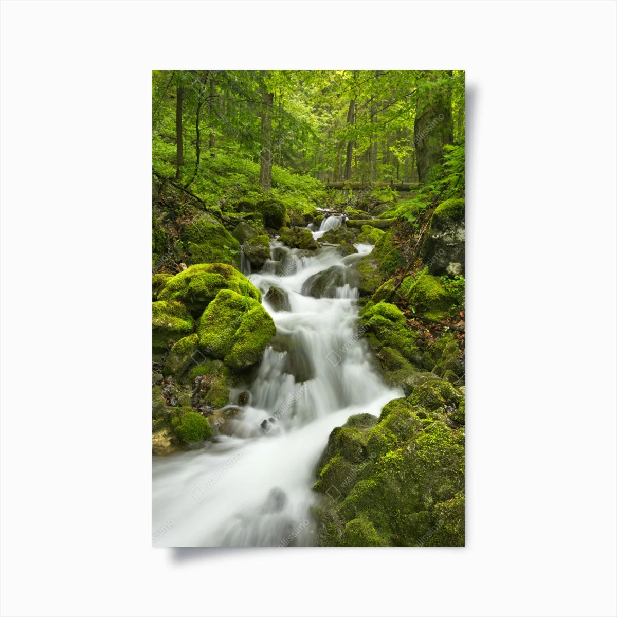 Poster cascade féerique de Slovenský Raj – Wallnifity® Poster cascade féerique de Slovenský Raj – Wallnifity®